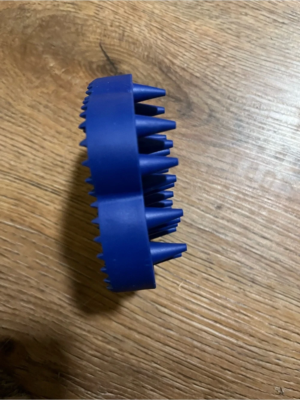 Top Paw Curry Brush, Dog, Blue, One Size, Grooming